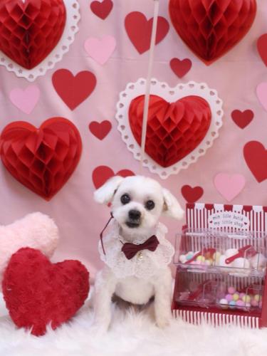 20240201まるくん